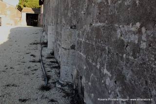 silica del Murgo-21-10-2015 18-48-49
